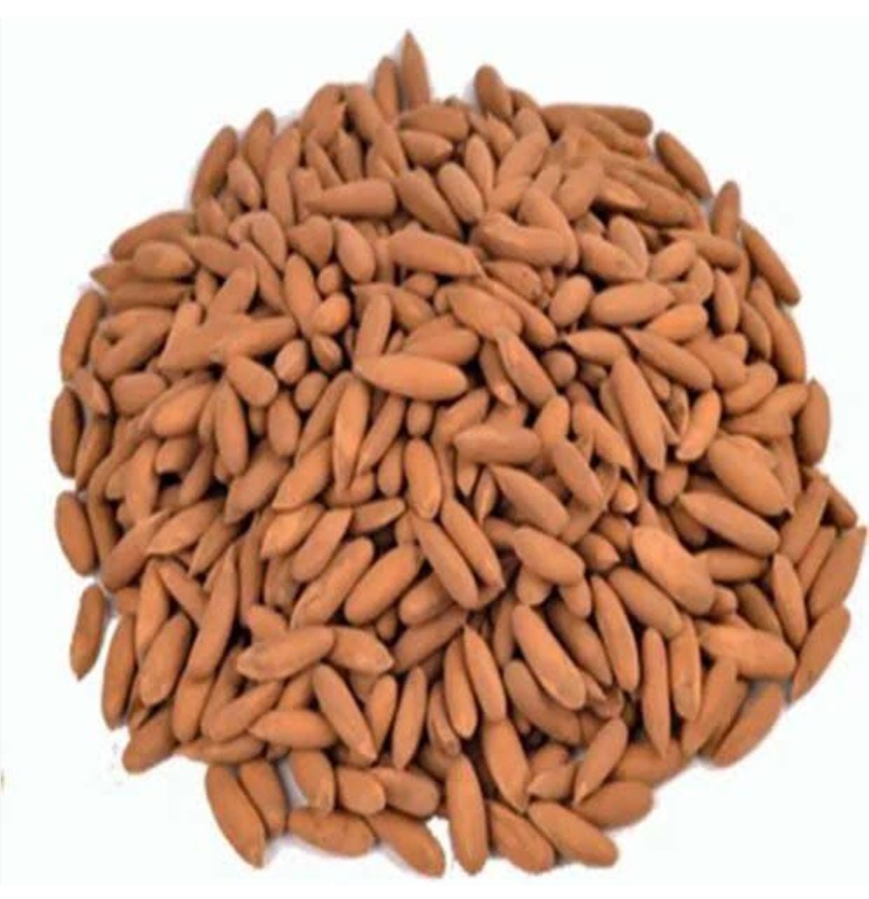 Grand Celebration — Chigoja 100g